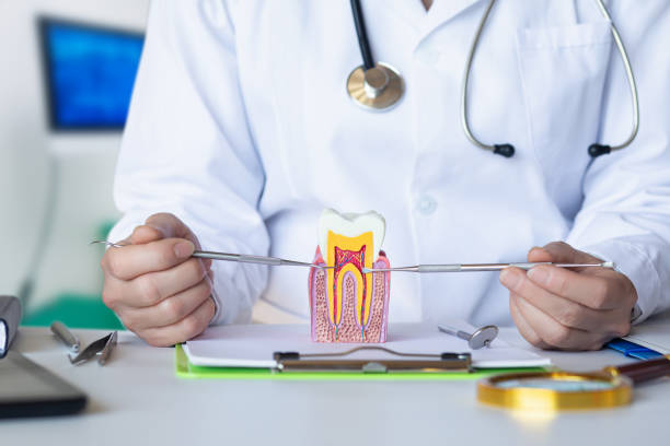 Best Emergency Root Canal Treatment in Duluth, WA